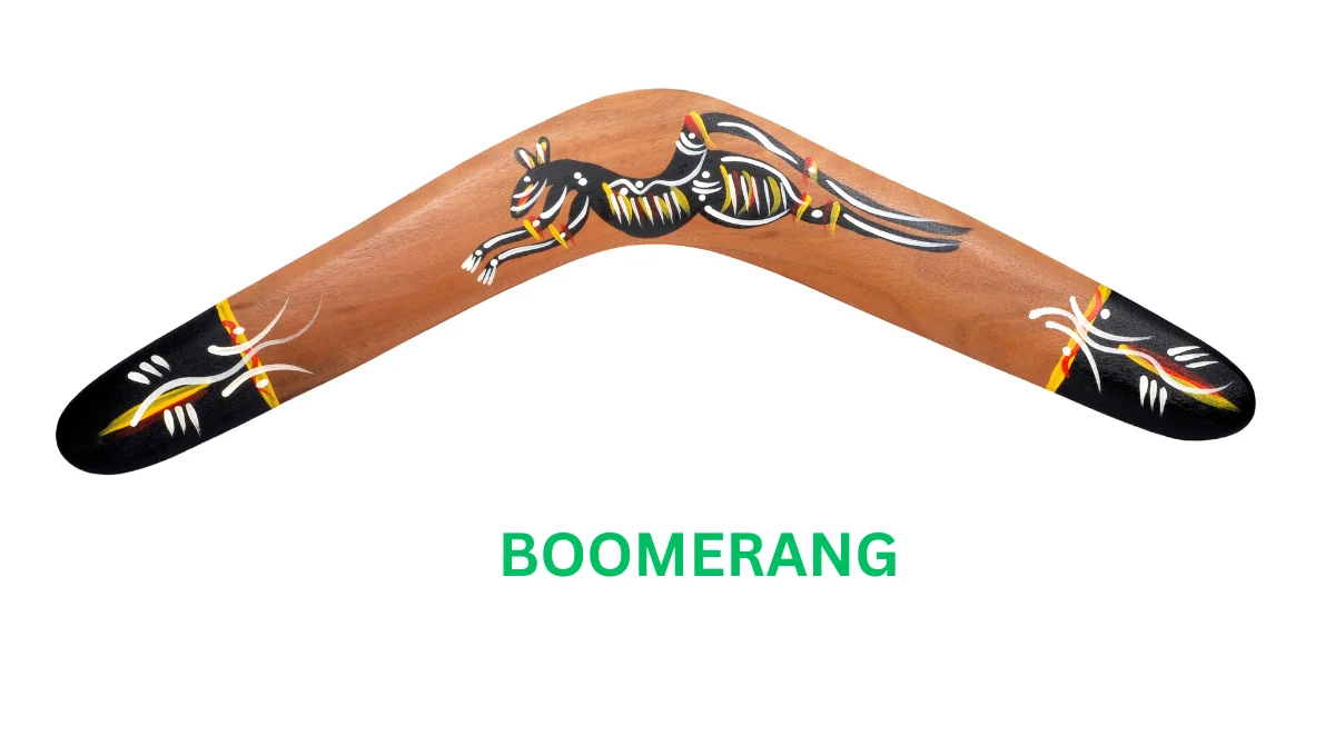 बूमरॅंग | Boomerang